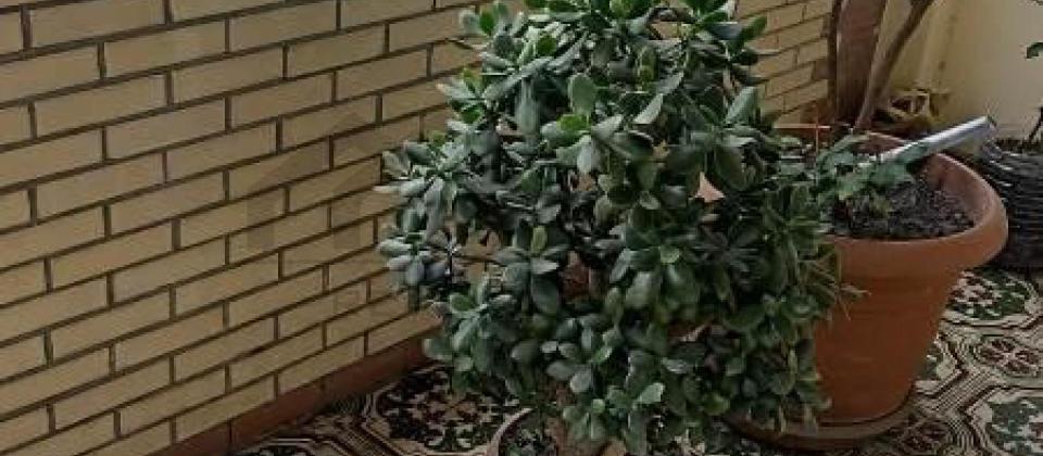 İnşaatçılar m/s yanında 2 otaqlı mənzil satılır/70 kv.m. - 12