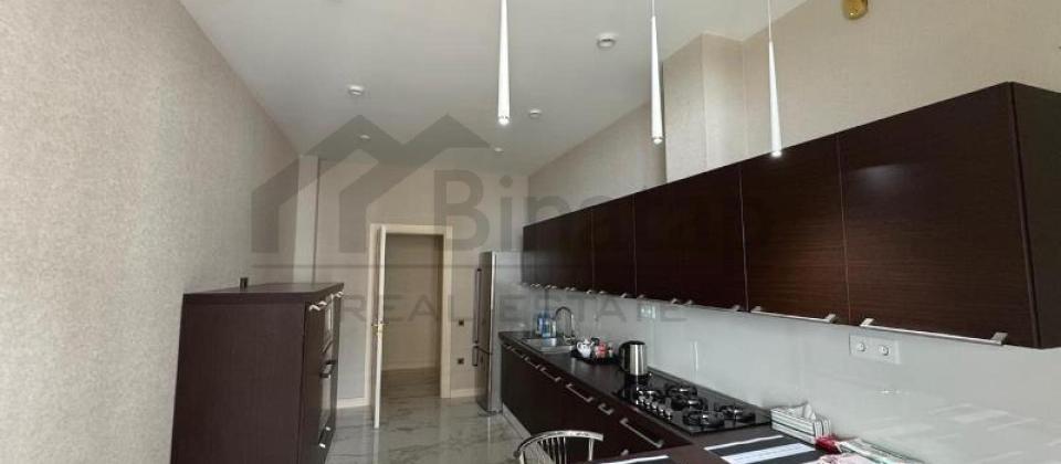 Nəriman Nərimanov heykəlinin yanında 2 otaqlı mənzil satılır/106 kv.m. - 9