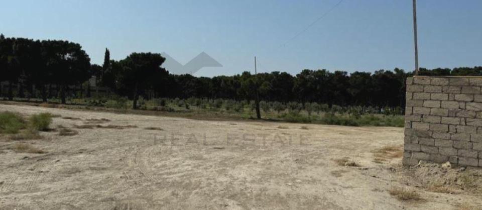 Binə, Hava Limanı ilə üzbə üz torpaq sahəsi satılır/58 sot - 2