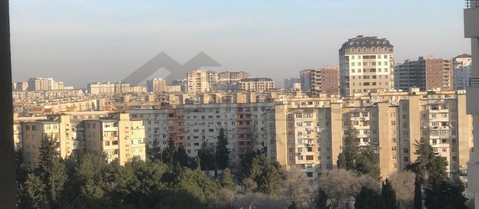 Əhmədli də Ukranski kuruq adlan yerdə AMAL