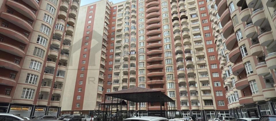 Badamdar Baku Oxfor - 3