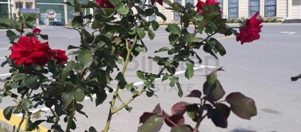 Masazır Qurtuluş 93də podmayak təmirsiz mənzil - 3