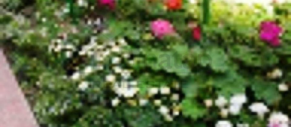 TECİLİ SATILIR..! Qish parki ve 28 May m/s yanında yerleshir, 73 kv.m. - 3