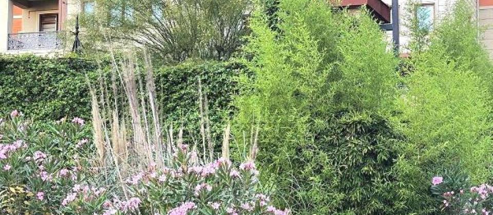 Zooparkin yani, Roseville Apartments'de 4 otaqli temirsiz menzil satilir/217 kv.m. - 11