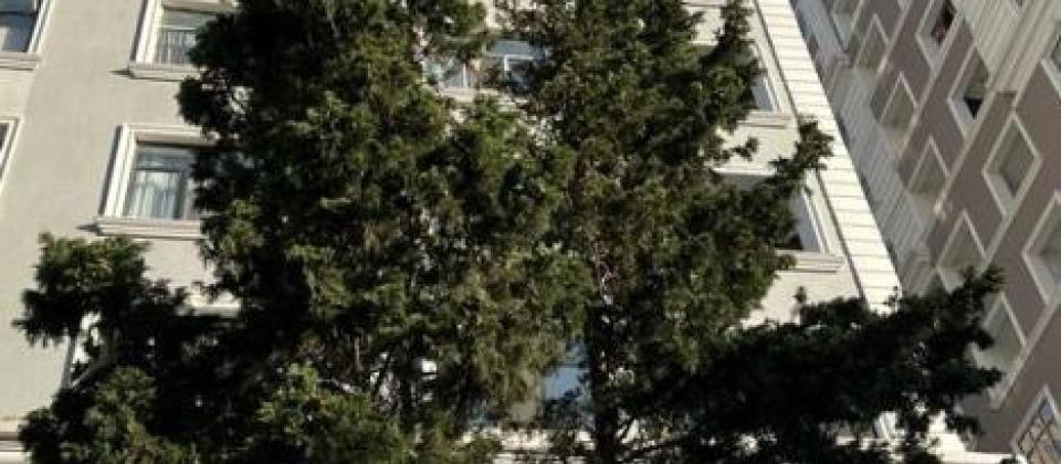 Neftchi baza ve 1№li Asan xidmete yaxin 2 otaqli menzil satilir/102 kv.m. - 4