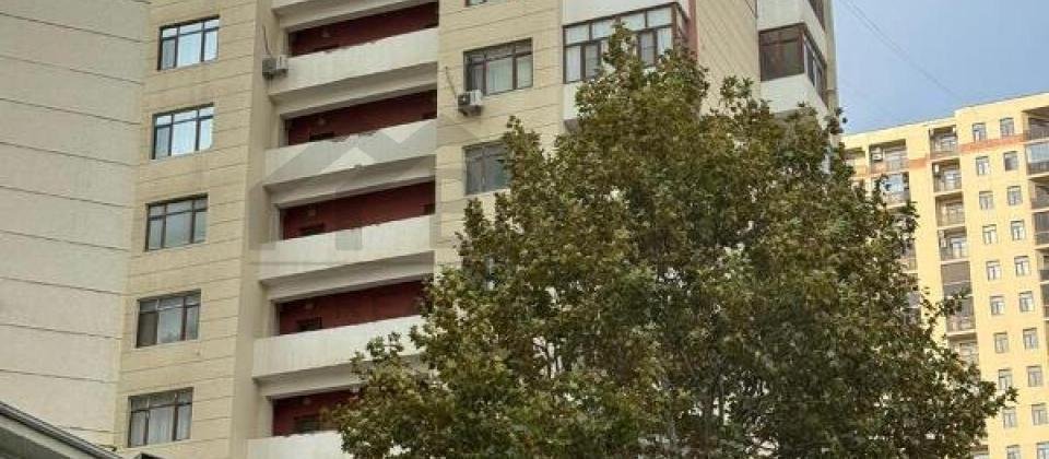 Musabeyov parki, Elmler Akademiyasi m/s yaxin 3 otaqli menzil satilir/125 kv.m. - 3