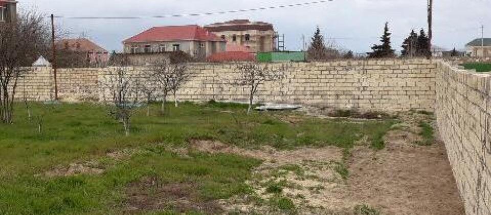NOVXANI qəsəbəsi Sarı Qaya