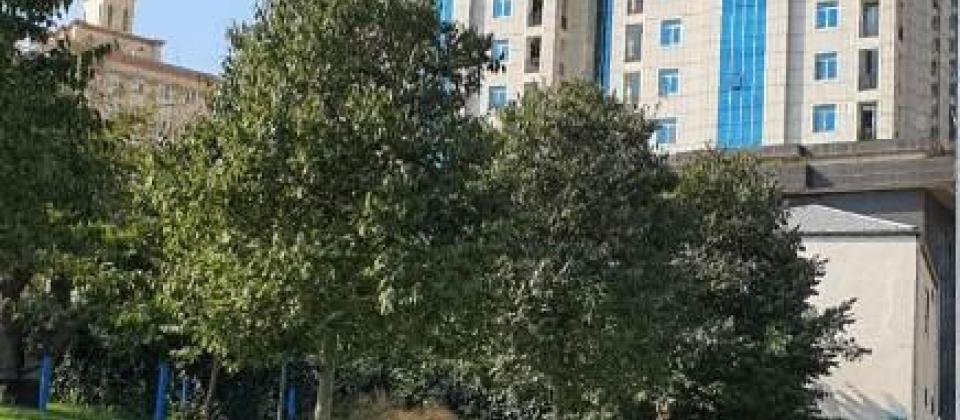 Statistika Komitesi, Merkezi parkin yaninda 4 otaqli menzil satilir/204 kv.m.