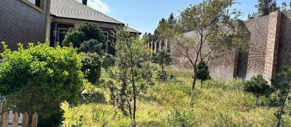 Shuvelan qesebesi, McDonald's in yaninda bag evi satilir/790 kv.m. - 3