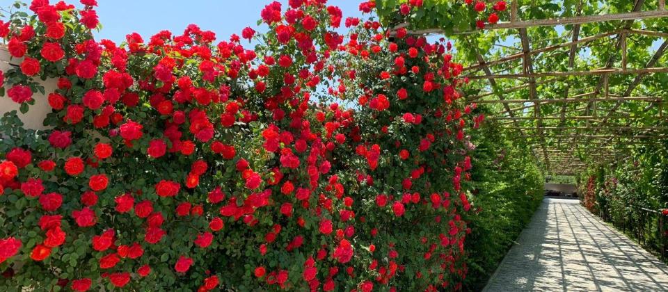 Kirayə verilir 6 otaqlı bağ evi 350 m², Bilgəh q. - 2