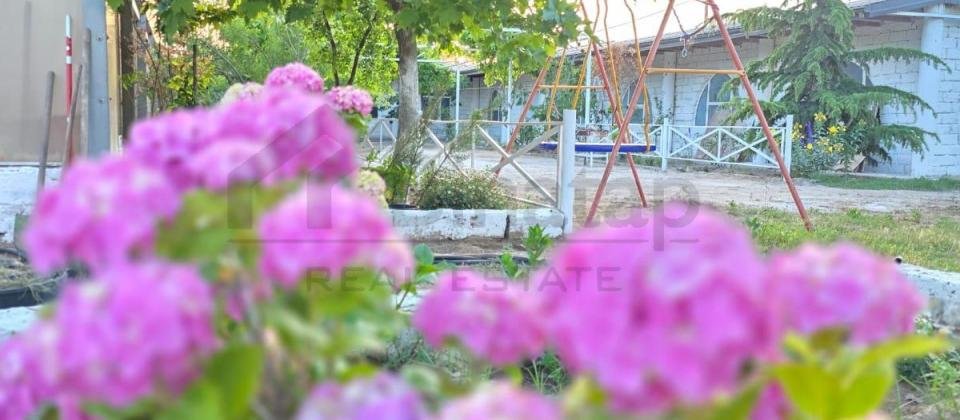 Parnik ,Ferma (Təsərrüfat) - 2
