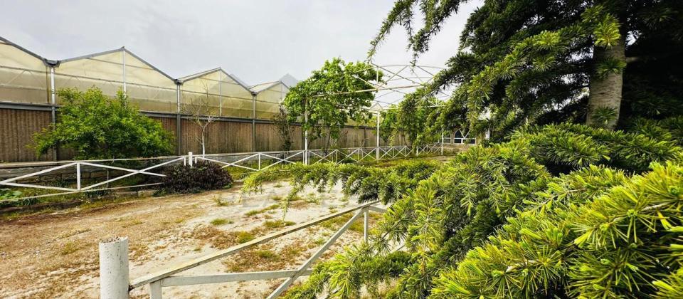 Parnik ,Ferma (Təsərrüfat)