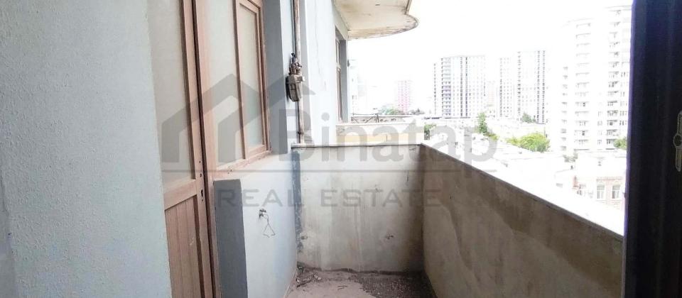 Koala parkın yanında - 9