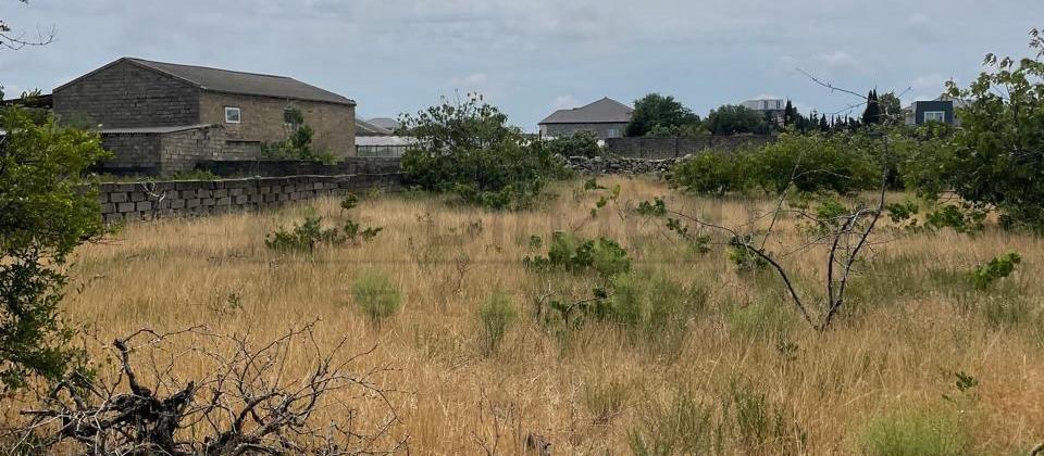 Nardaran qəs, Amin marketin yaxın