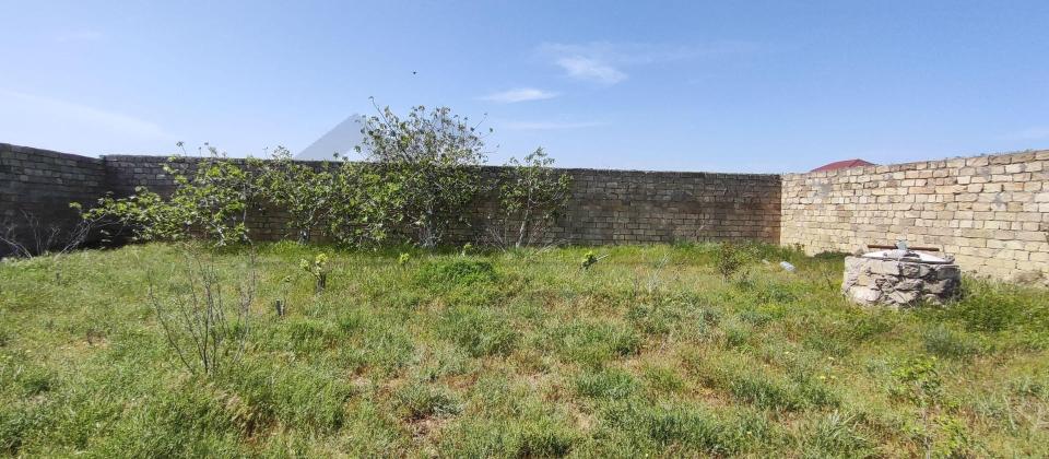 Ləhic bağları - 3