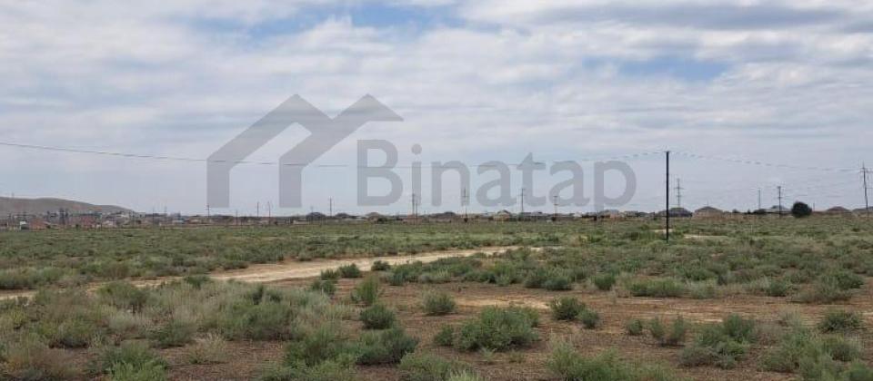 ŞİRVANDA 12 SOT TORPAQ - 9