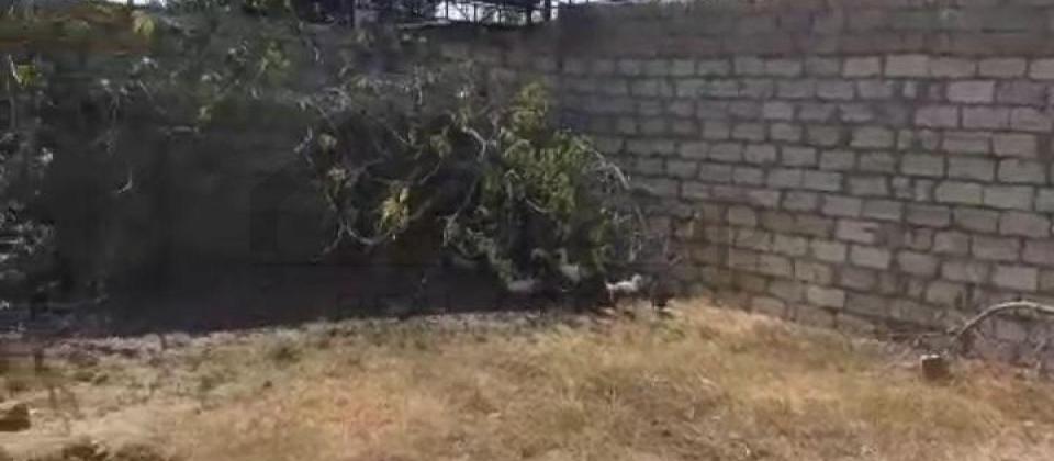 Maştağa MTS yolu 4 SOT sənəd çıxarış hamsı yerində obyekt üçün yararlı torpaq satılır təcili!!! - 2