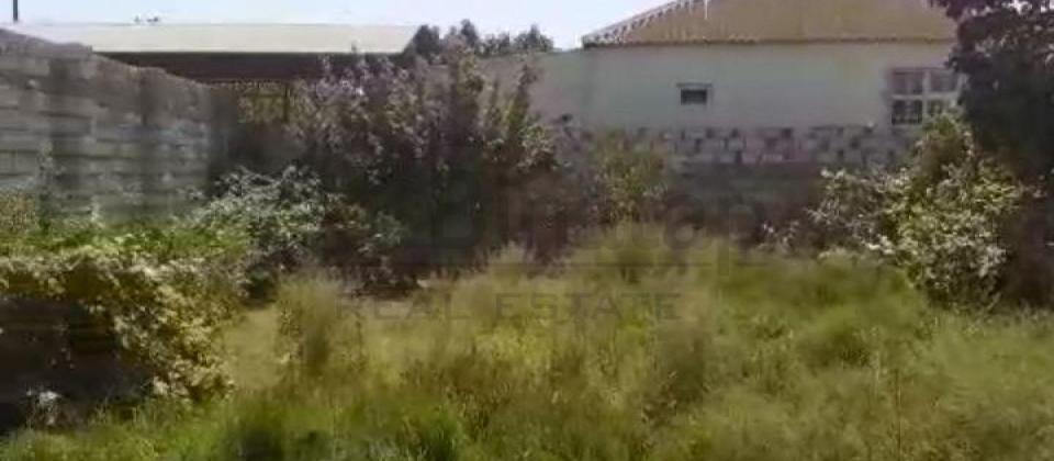 Maştağa MTS yolu 4 SOT sənəd çıxarış hamsı yerində obyekt üçün yararlı torpaq satılır təcili!!!