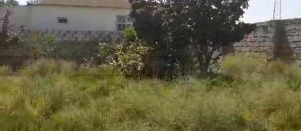 Maştağa MTS yolu 4 SOT sənəd çıxarış hamsı yerində obyekt üçün yararlı torpaq satılır təcili!!! - 11