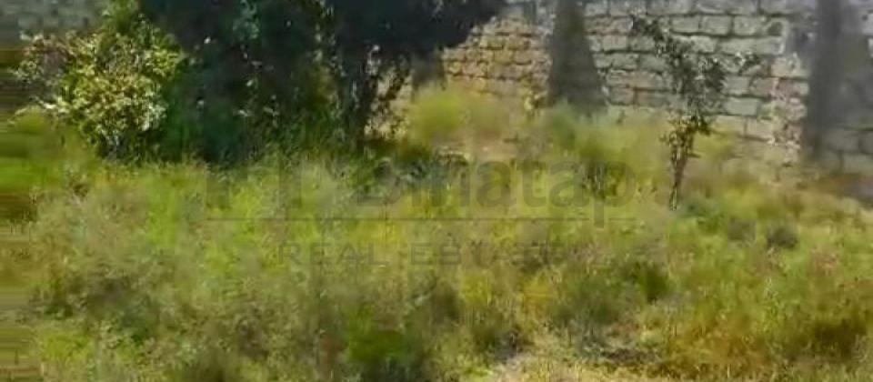 Maştağa MTS yolu 4 SOT sənəd çıxarış hamsı yerində obyekt üçün yararlı torpaq satılır təcili!!! - 13