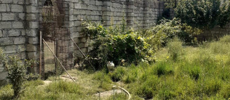 Maştağa MTS yolu 4 SOT sənəd çıxarış hamsı yerində obyekt üçün yararlı torpaq satılır təcili!!! - 15