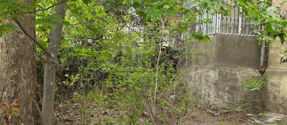 E.Akademiyasi m\st - 8