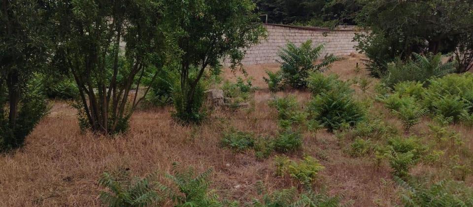 TORPAQ SATILIR 6 SOT COBANZADE KUCESINDE - 2