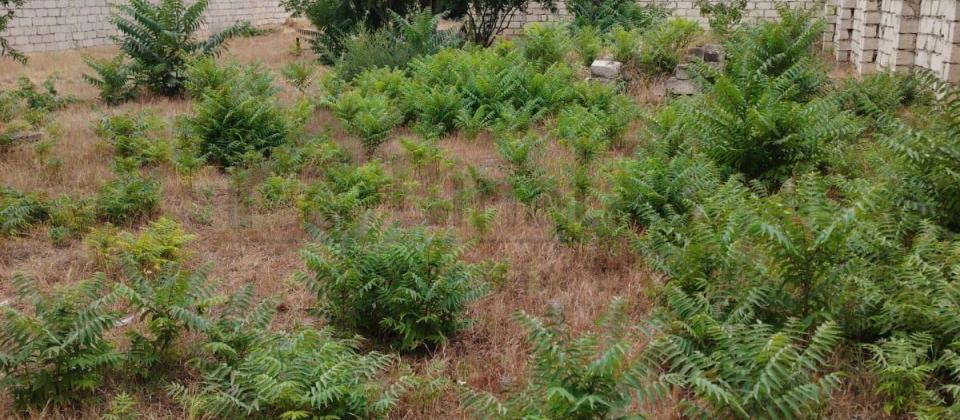 TORPAQ SATILIR 6 SOT COBANZADE KUCESINDE - 4