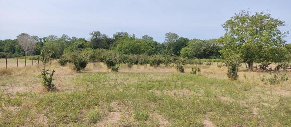 Xaçmaz rayonu, Nabran kəndində 2 hektar torpaq sahəsi satılır..! - 2