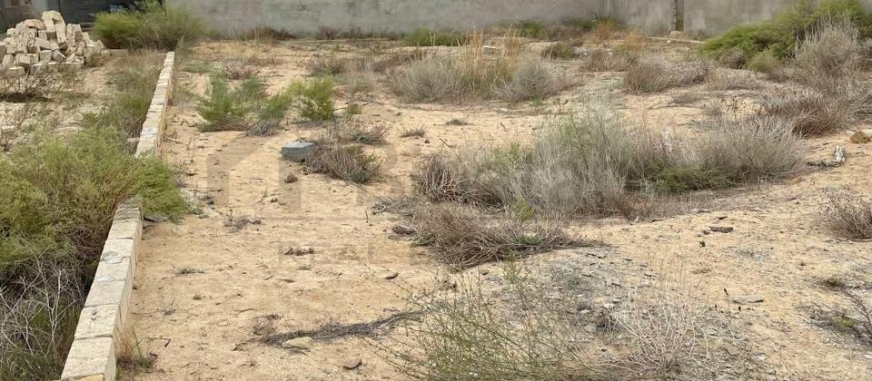 Nardaran, 16-ci Dalan (12 sot) - 4