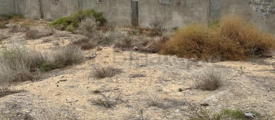 Nardaran, 16-ci Dalan (12 sot) - 5