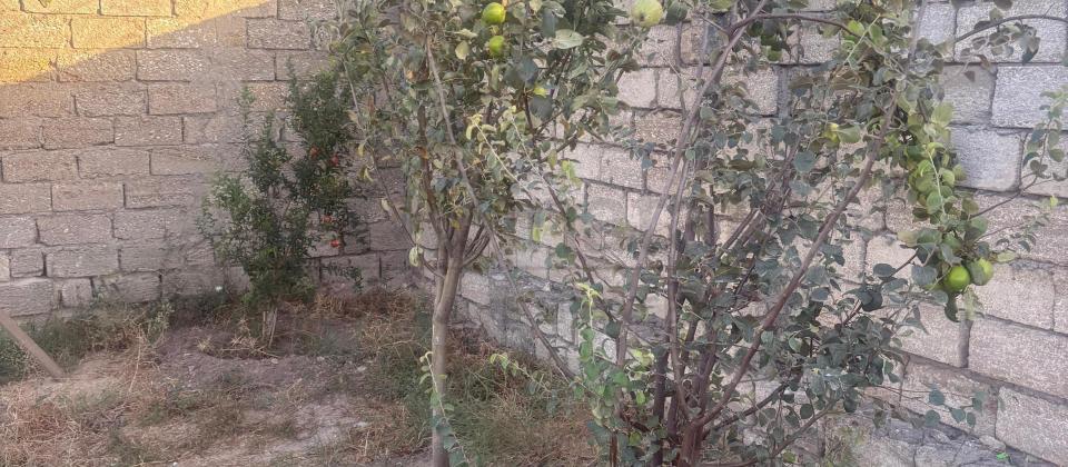 Şüvəlan-Qala yolunda prestijli torpaq sahəsi satışda! - 8