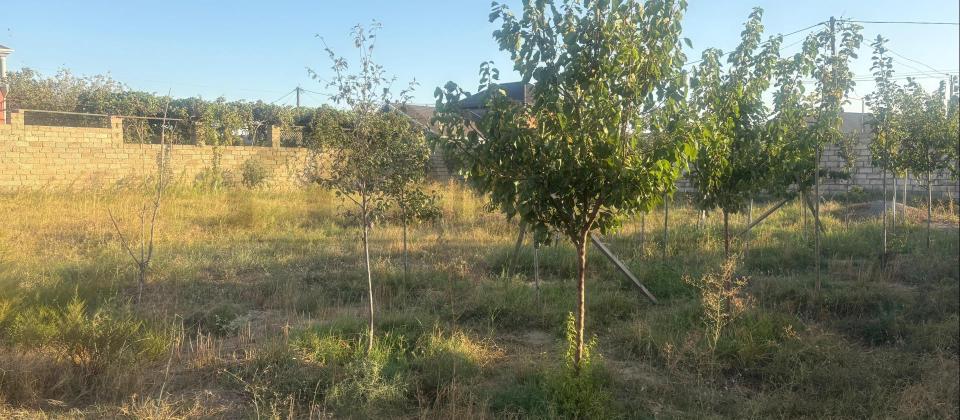 Şüvəlan-Qala yolunda prestijli torpaq sahəsi satışda! - 9