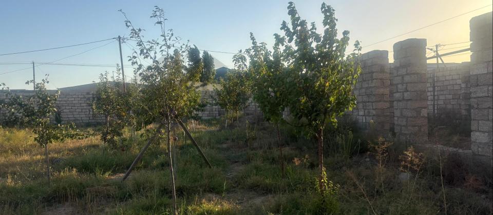 Şüvəlan-Qala yolunda prestijli torpaq sahəsi satışda! - 10
