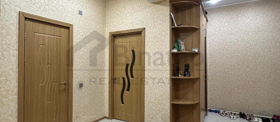 Nizami m/st6 Parallel - 8