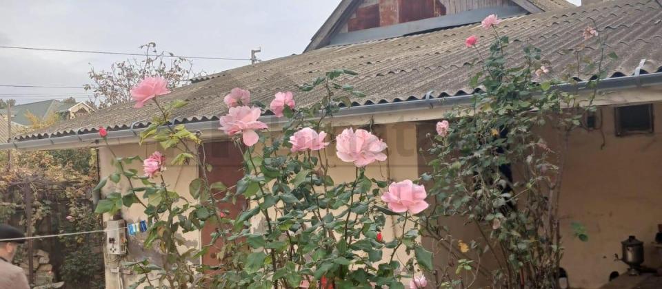 Biləcəri qəsəbəsi Yəhya Hüseynov kücəsi - 3