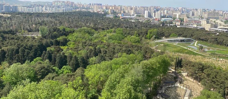 Badamdar, Botanika bağı və Oksford məktəbinin yanında 4 otaqlı mənzil satılır/160 kv.m. - 6