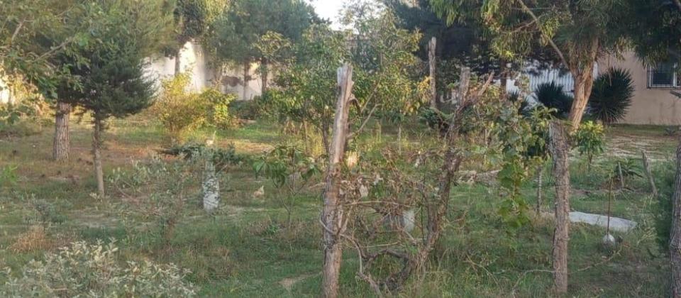 novxanida bag ev satilir - 7