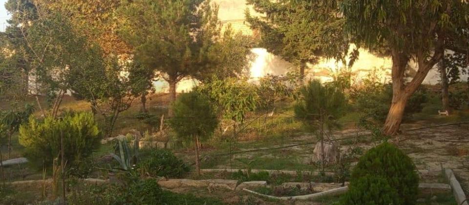 novxanida bag ev satilir - 12