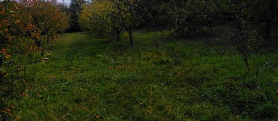 TƏCİLİ UCUZ QIYMƏTƏ! Nabran yolun üstündə evli və geniş Bağlı torpaq