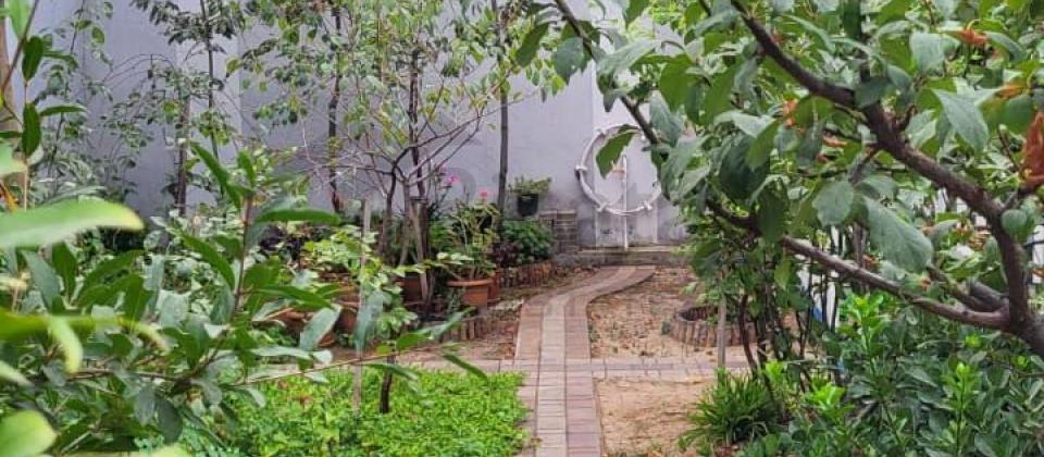 Xırdalan 7nöm Məktəb 4otaq Həyət evi Kirayə verilir - 5