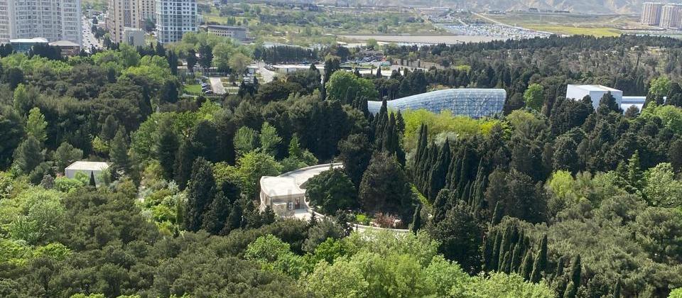 Badamdar qesebesi, Botanika baginin yaninda 3 otaqli menzil satilir/138 kv.m. - 6