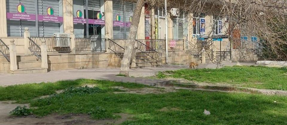 Satılır obyekt 65 m², Bakıxanov q. - 9