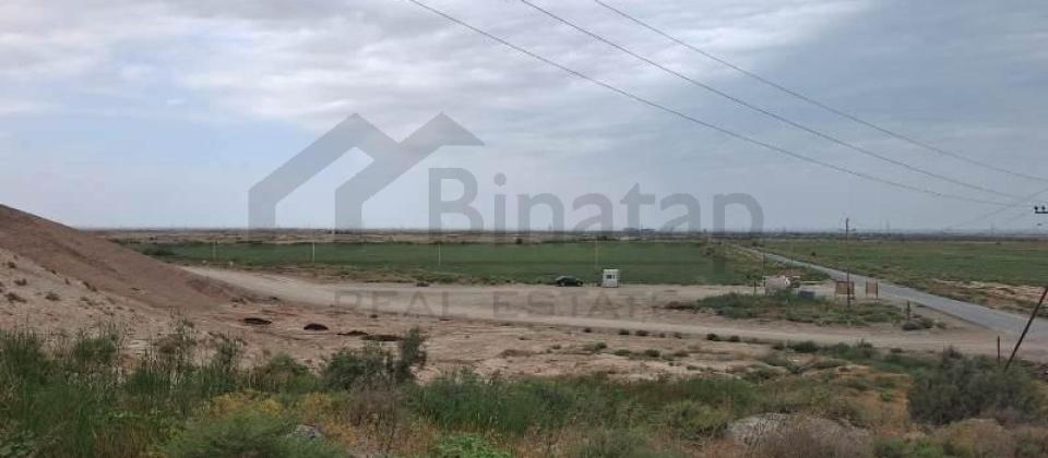 Xizi rayonunda 54 ha torpaq sahesi satilir..! - 4