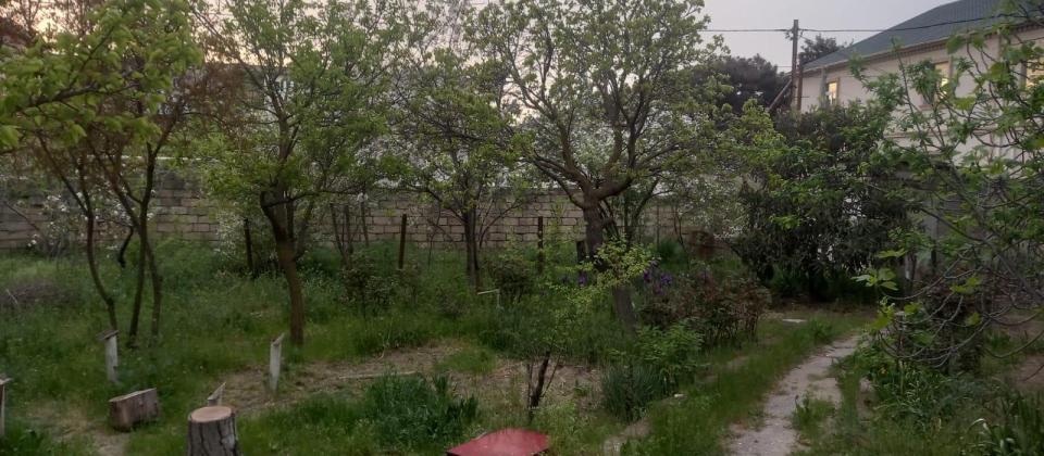 Satılır torpaq 11 sot, Avtovağzal m - 3