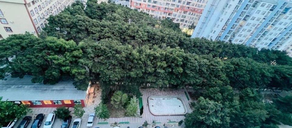 HƏZİ ASLANOV 3 OTAQ YENİ TİKİLİ - 10