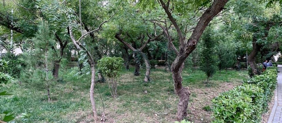 Təcili mənzil satılır. - 5