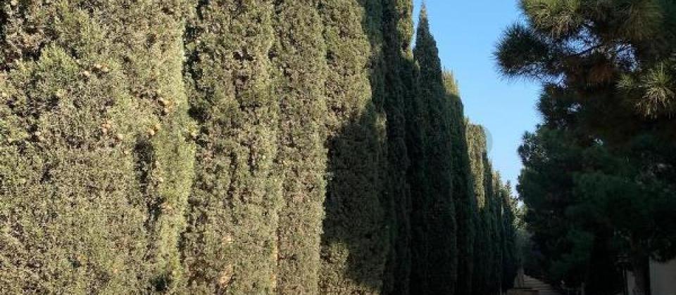 Shixov qesebesi, Grand Park Shikhov'da villa satilir/500 kv.m. - 4