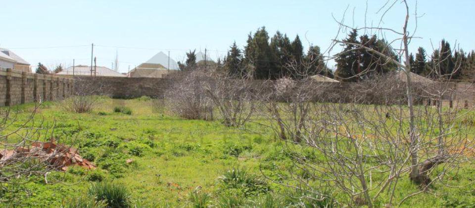 Satılır torpaq 40 sot, Albalılıq q.