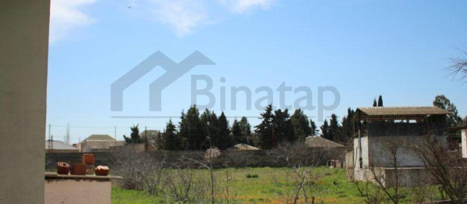 Satılır torpaq 40 sot, Albalılıq q. - 2